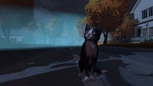 Copycat screenshot Copycat screenshot