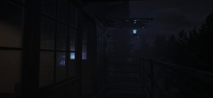 Trailcam screenshot Trailcam screenshot