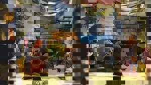 NAIRI: Tower of Shirin screenshot