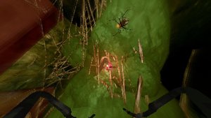 The Hungry Fly screenshot