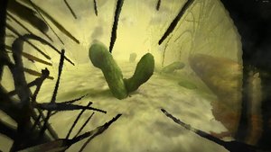 The Hungry Fly screenshot