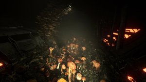 Animal Use Protocol screenshot Animal Use Protocol screenshot