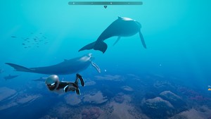 Beyond Blue screenshot