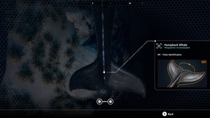 Beyond Blue screenshot