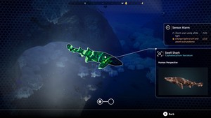 Beyond Blue screenshot