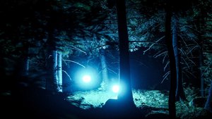 They Are Here – Alien Abduction Horror screenshot They Are Here – Alien Abduction Horror screenshot