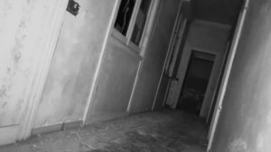 Ghost Frequency screenshot