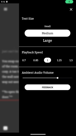 RYFT: A Timely Manor screenshot