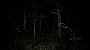 Blinding Oversight screenshot