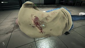 The Enigma Cases screenshot