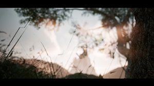 Nietzsche's Shadow screenshot