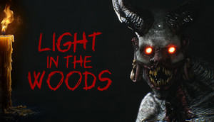 Light in the Woods cover image