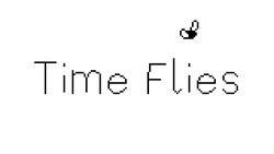 Time Flies Time Flies