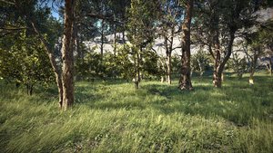 The House Dreams Along With Them screenshot