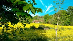 The Final Chapter screenshot