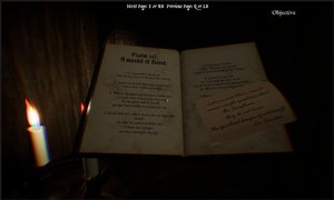 1711 Ireland: A Witch’s Fate screenshot