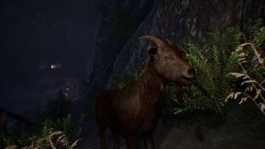 1711 Ireland: A Witch’s Fate screenshot