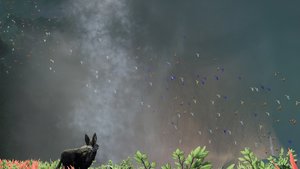 Lost Ember screenshot