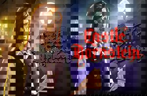 Castle Dornstein cover image