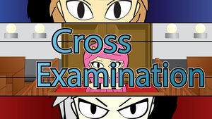 Samuel Prince: Attorney at Law screenshot