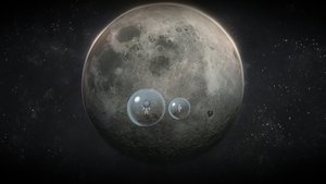 A Bird Story screenshot