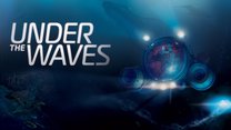 Under the Waves Under the Waves