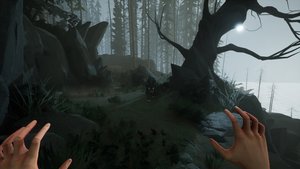 Two Falls (Nishu Takuatshina) screenshot