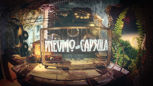 Pnevmo-Capsula cover image