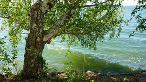 The Game Maker screenshot