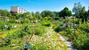 The Game Maker screenshot