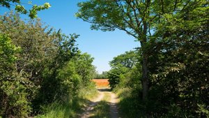 The Game Maker screenshot