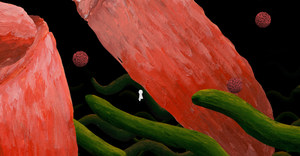 The Master's Pupil screenshot