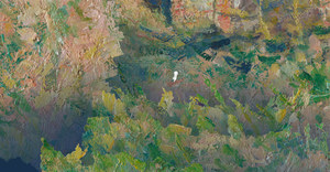 The Master's Pupil screenshot