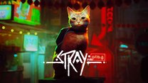 Stray Stray