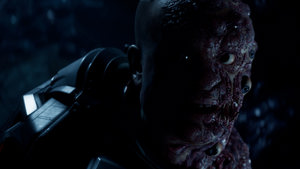 Directive 8020 screenshot