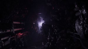 Directive 8020 screenshot