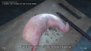Autopsy Simulator screenshot