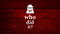 Who Did It? 