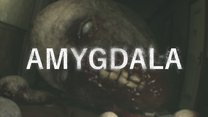 Amygdala Amygdala