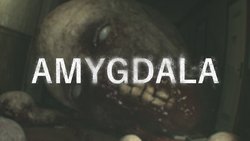 Amygdala Amygdala