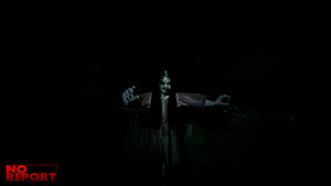 No Report screenshot No Report screenshot