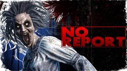 No Report No Report