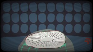 Unnamed Experiment screenshot