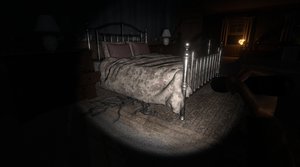 The Echo Paradox screenshot