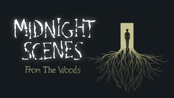 Midnight Scenes: From the Woods video walkthrough Midnight Scenes: From the Woods video walkthrough