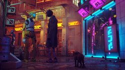 Stray review Stray review