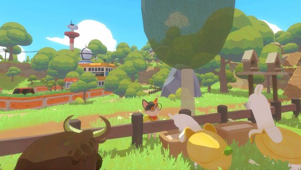Petit Island review Petit Island review