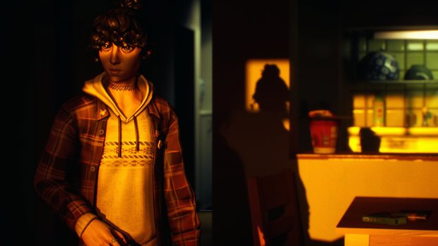 SOMBRAS: Negative Frames to be fully exposed in December